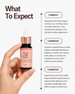Korean-Desi Hydrating Serum - Image 2